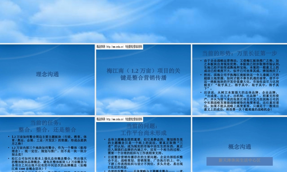 天津滨海公司梅江南项目沟通会——王志刚