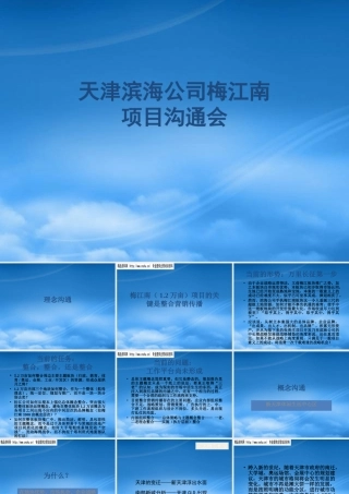 天津滨海公司梅江南项目沟通会——王志刚