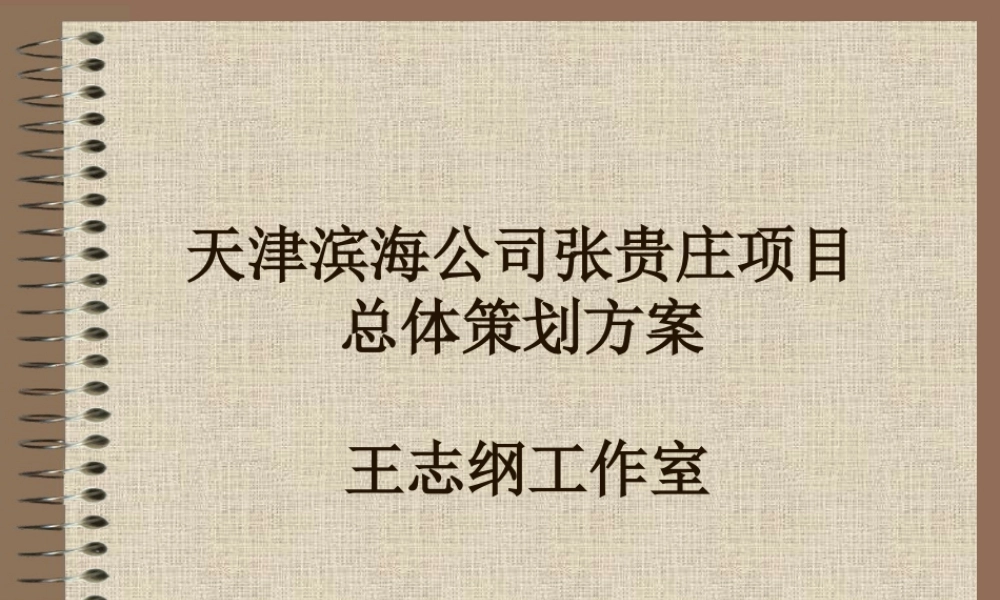 天津滨海公司张贵庄项目总体策划方案