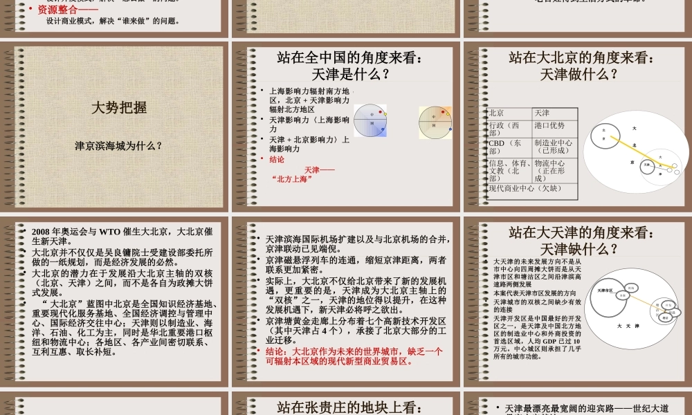 天津滨海公司张贵庄项目总体策划方案