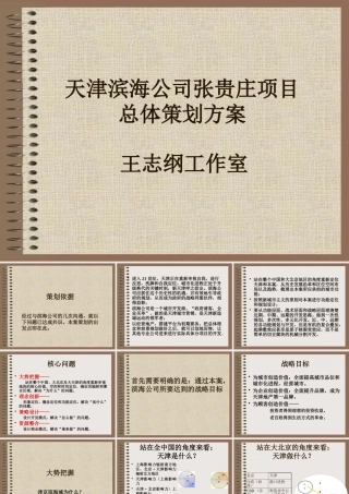 天津滨海公司张贵庄项目总体策划方案