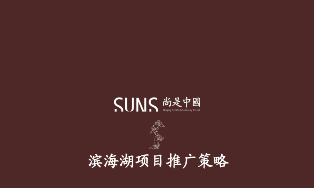 天津滨海湖高尔夫别墅项目推广策略_91PPT_尚是中国