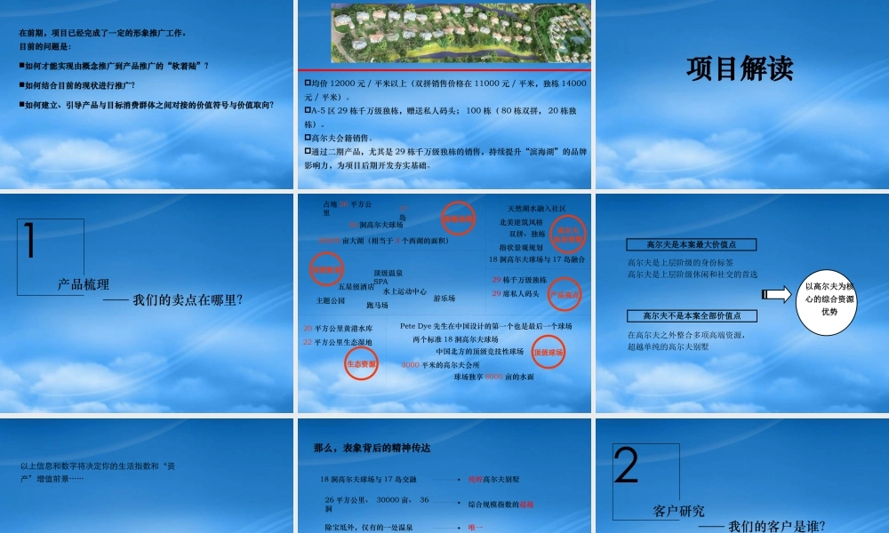 天津滨海湖高尔夫别墅项目推广策略_91PPT_尚是中国