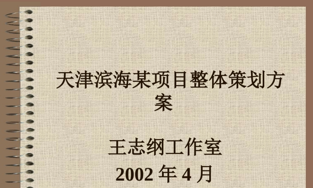 天津滨海某项目整体策划方案