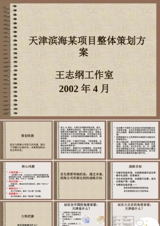 天津滨海某项目整体策划方案