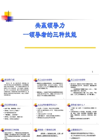 如何成为e时代的成功者经典讲义之二十七领导者的三种