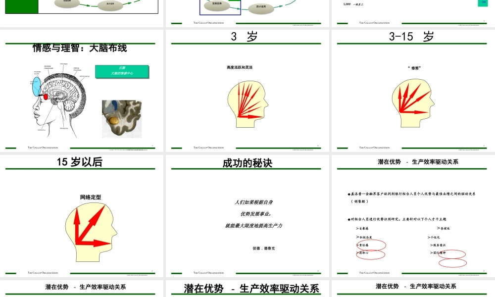 如何成为e时代的成功者经典讲义之二十五盖洛普执行力