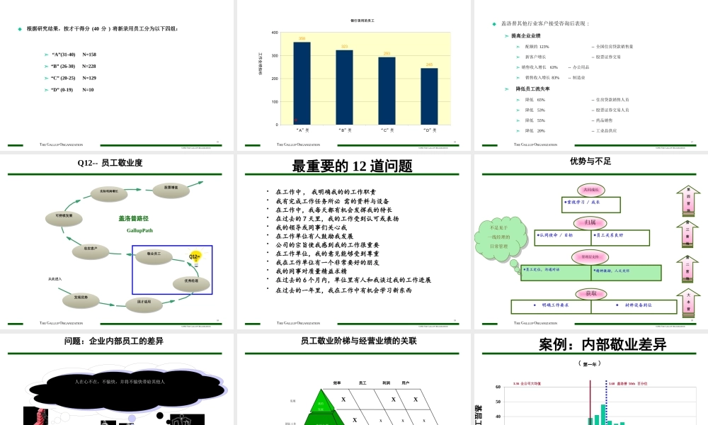 如何成为e时代的成功者经典讲义之二十五盖洛普执行力