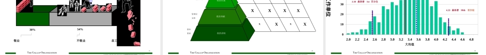 如何成为e时代的成功者经典讲义之二十五盖洛普执行力