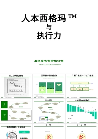 如何成为e时代的成功者经典讲义之二十五盖洛普执行力