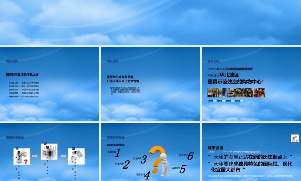 天津大悦城推广策略方案