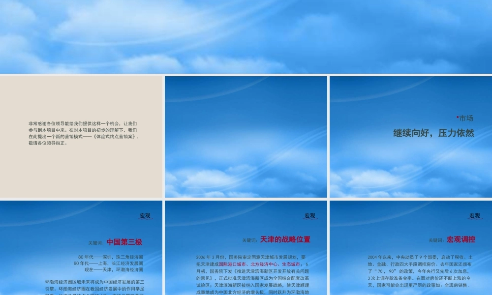 天津大悦城项目