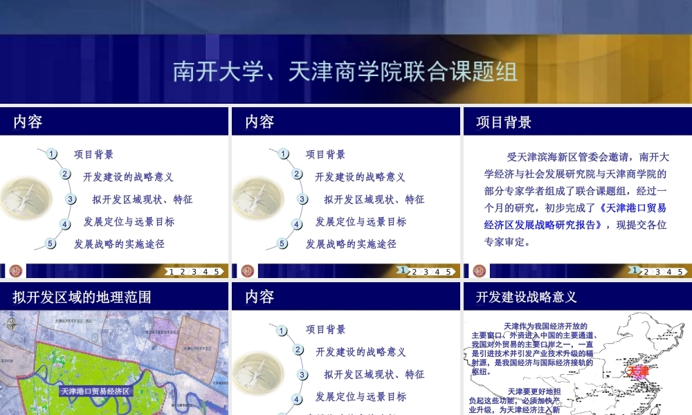 天津港口贸易经济区发展战略研究