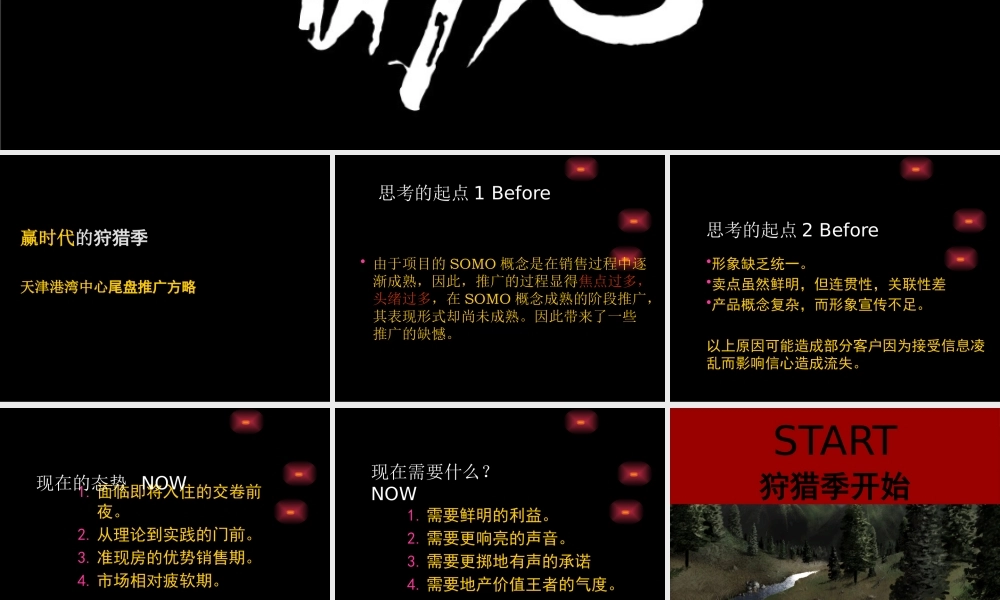 天津港湾中心尾盘推广方略