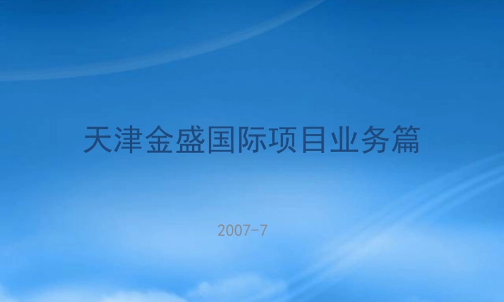 天津金盛国际项目业务篇定稿