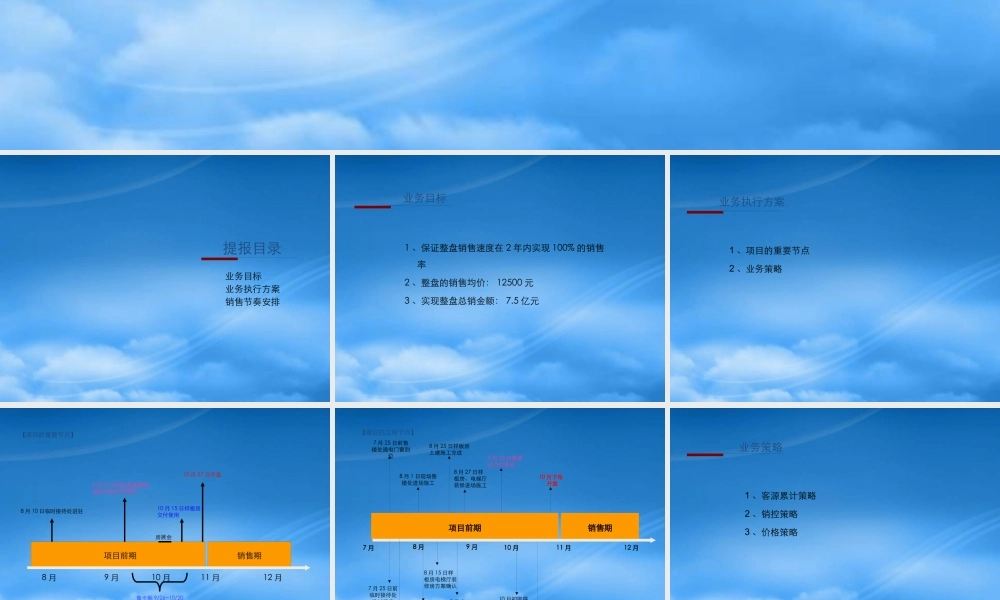 天津金盛国际项目业务篇定稿
