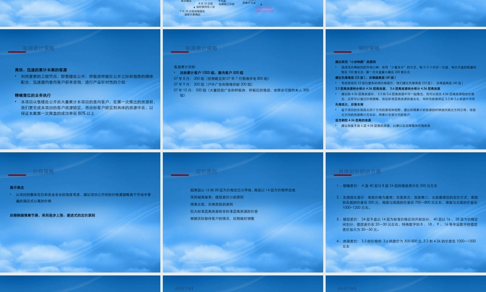 天津金盛国际项目业务篇定稿