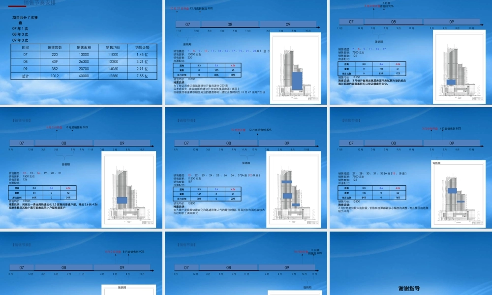 天津金盛国际项目业务篇定稿
