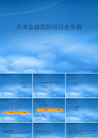 天津金盛国际项目业务篇定稿