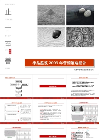 天津津房地产品鉴筑营销策略管理报告