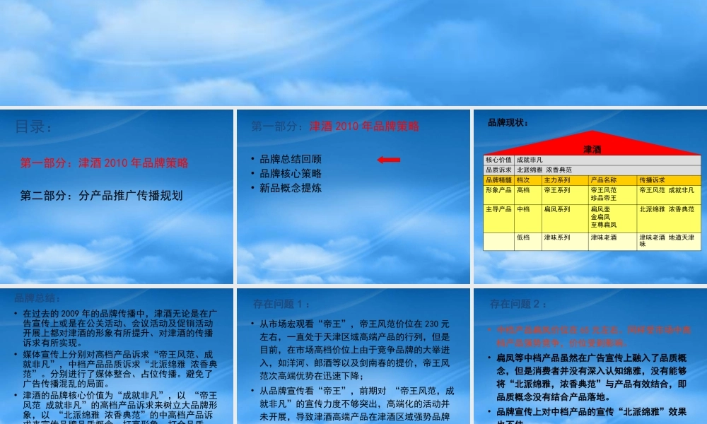 天津津酒XXXX年度品牌战略规划案