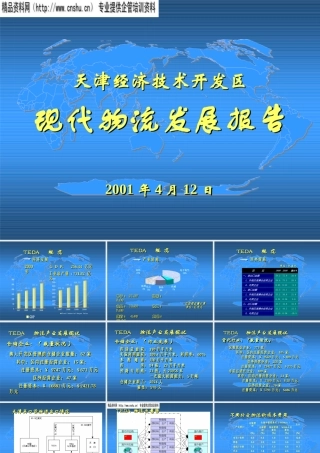 天津开发区现代物流发展报告(1)