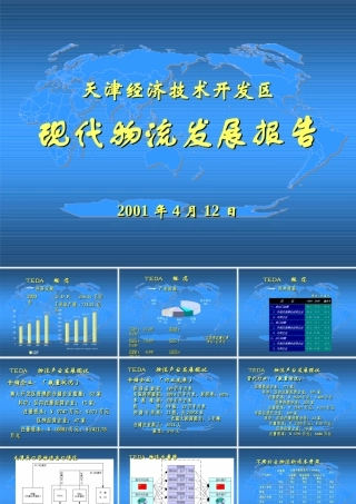 天津开发区现代物流发展报告