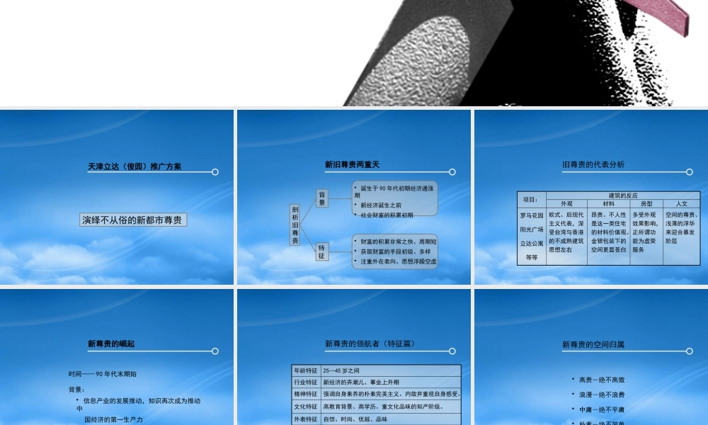 天津立达博兰项目推广策略方案-38PPT