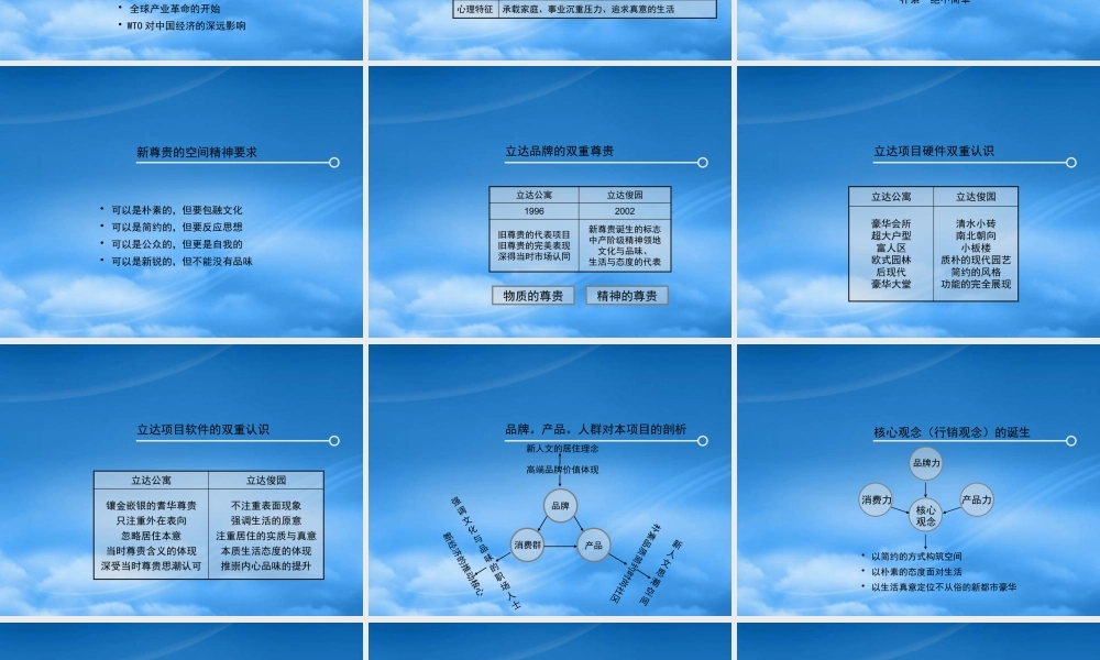 天津立达博兰项目推广策略方案-38PPT