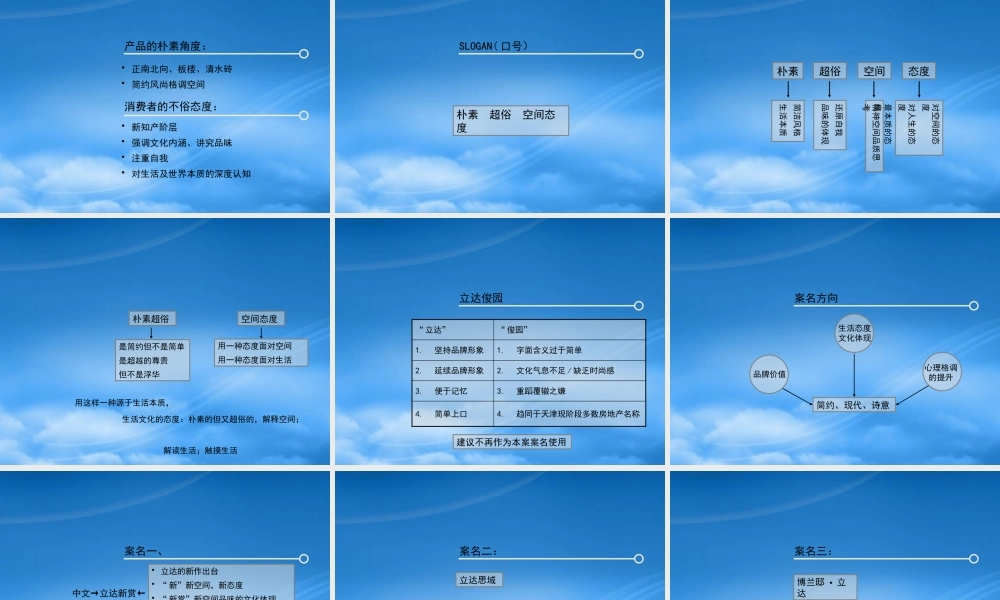 天津立达博兰项目推广策略方案-38PPT