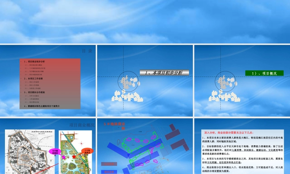 天津梅江南商业项目建议书(0715)