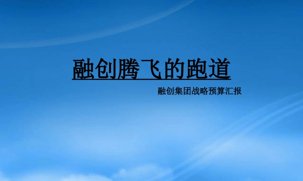 天津某公司战略预算报告