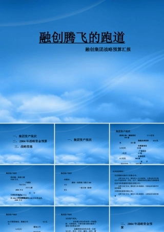 天津某公司战略预算报告