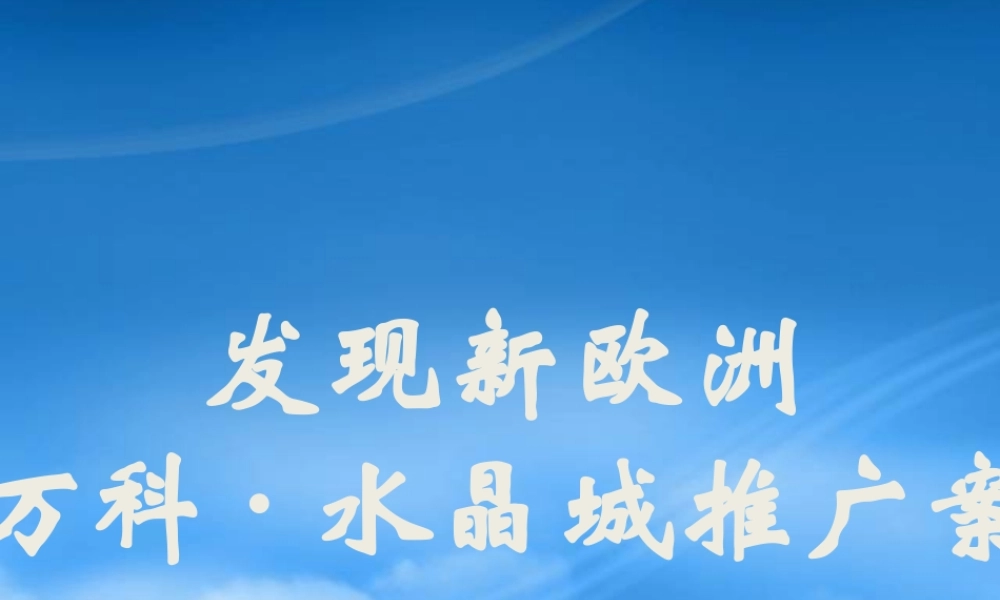 天津某水晶城项目推广案