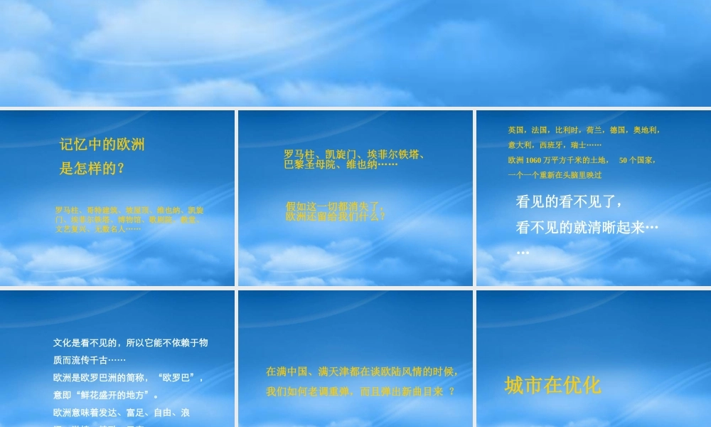 天津某水晶城项目推广案