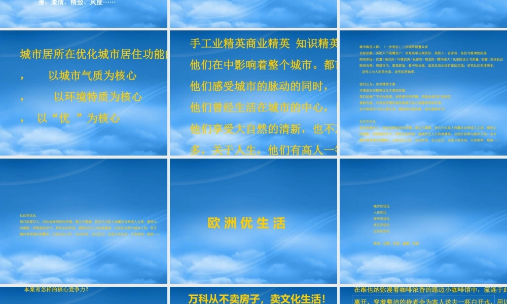 天津某水晶城项目推广案