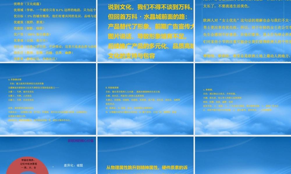 天津某水晶城项目推广案