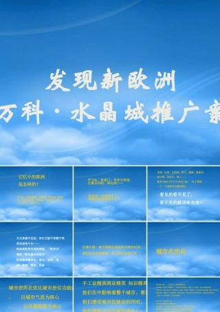 天津某水晶城项目推广案