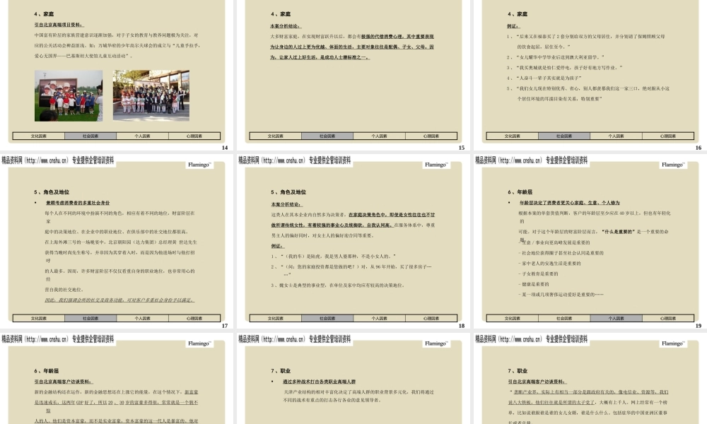 天津某招商地产项目策略案