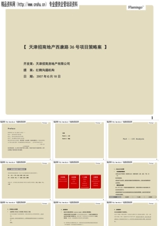 天津某招商地产项目策略案