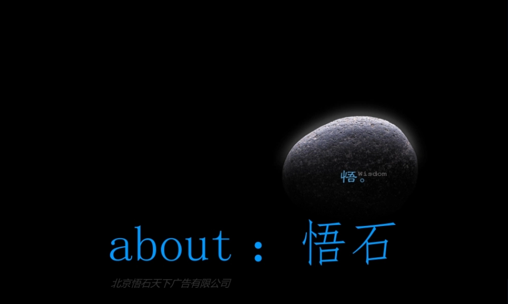 天津瑞景项目推广思路提案-65PPT