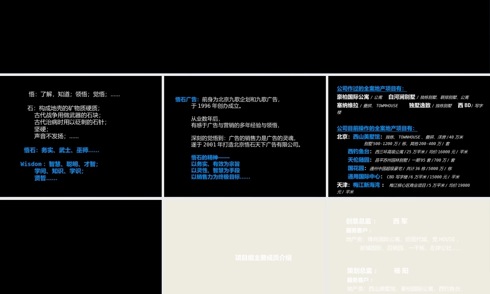 天津瑞景项目推广思路提案-65PPT