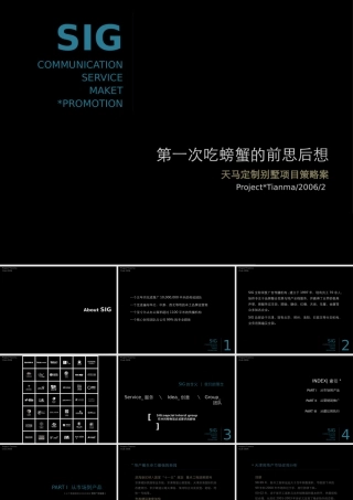 天津深度西青区杨柳青岭上林里策划全案