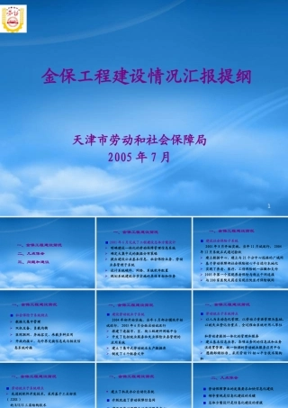 天津市劳动和社会保障管理信息系统一期工程汇报提纲