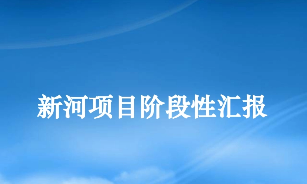 天津顺驰新河项目阶段性汇报