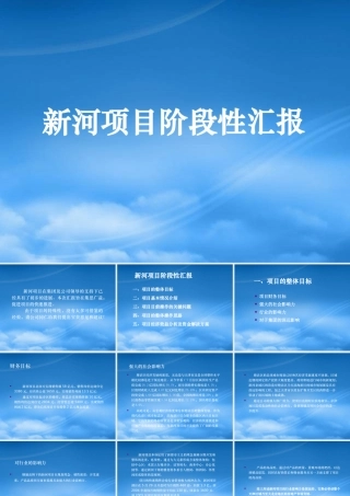 天津顺驰新河项目阶段性汇报