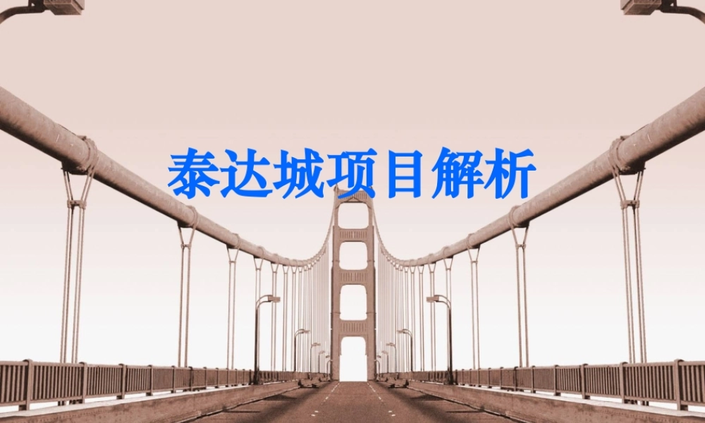 天津泰达城项目前期产品建议方案-80PPT