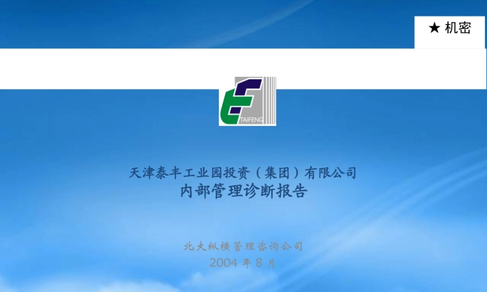 天津泰丰-报告3-内部管理诊断报告
