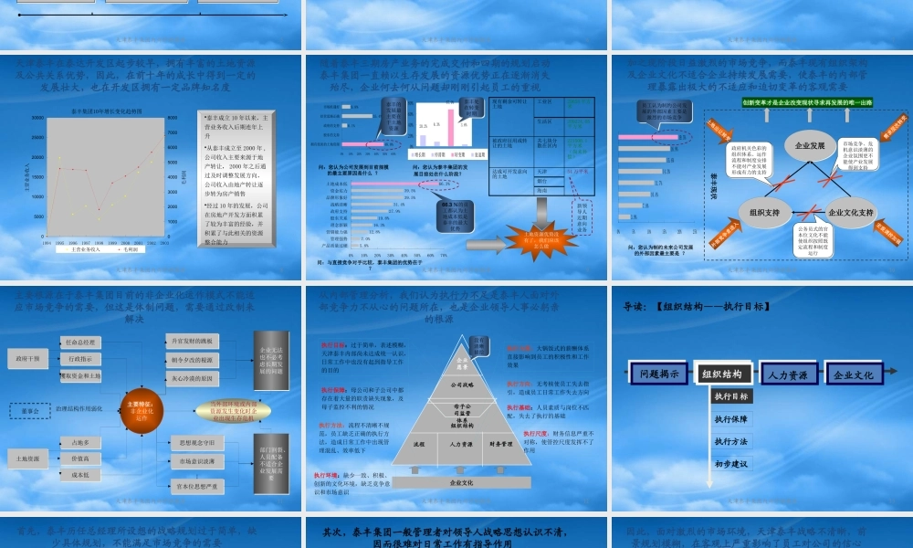 天津泰丰-报告3-内部管理诊断报告