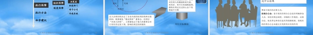 天津泰丰-报告3-内部管理诊断报告